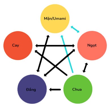 Ngôi Sao Vị Giác Tương quan vị giác